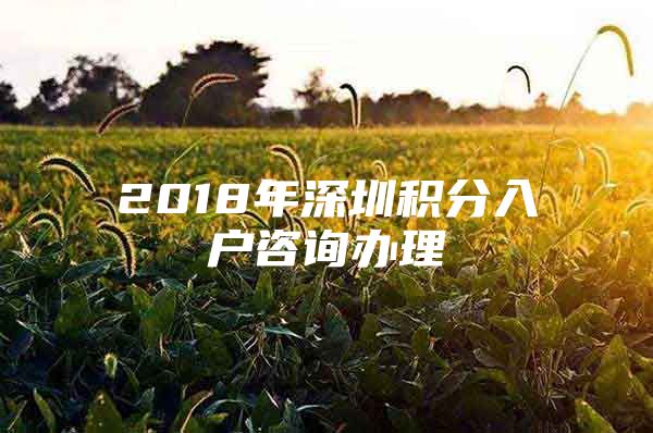 2018年深圳积分入户咨询办理