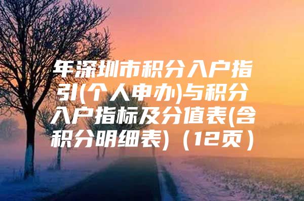 年深圳市积分入户指引(个人申办)与积分入户指标及分值表(含积分明细表)（12页）