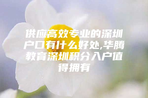 供应高效专业的深圳户口有什么好处,华腾教育深圳积分入户值得拥有