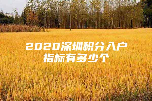 2020深圳积分入户指标有多少个