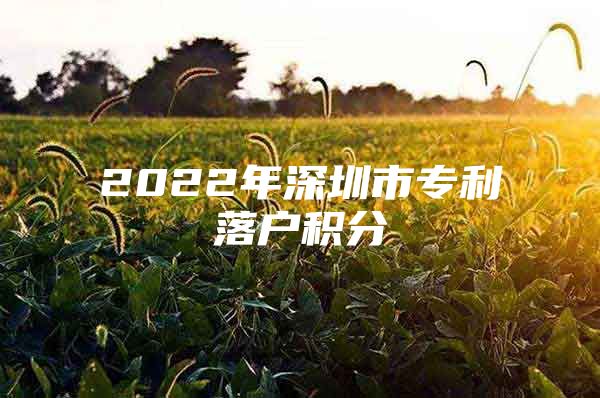 2022年深圳市专利落户积分