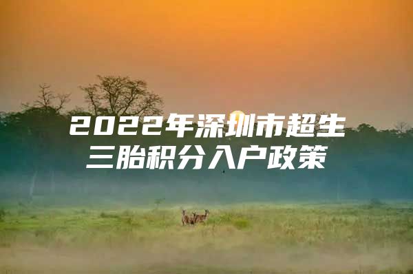 2022年深圳市超生三胎积分入户政策