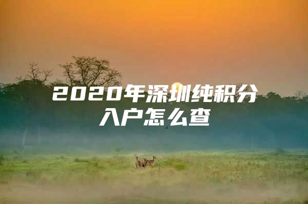 2020年深圳纯积分入户怎么查