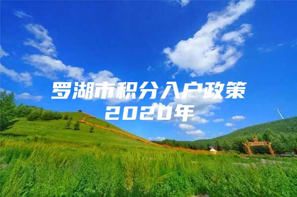 罗湖市积分入户政策2020年