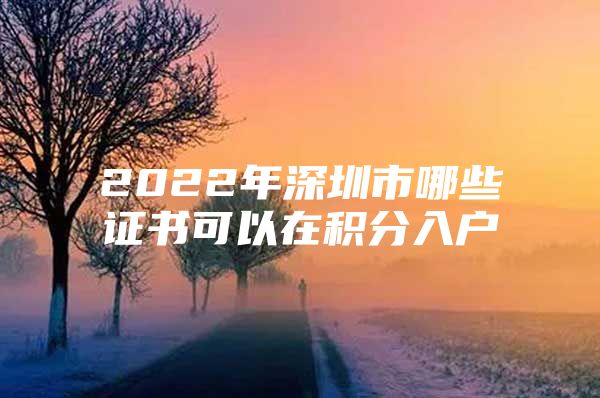 2022年深圳市哪些证书可以在积分入户