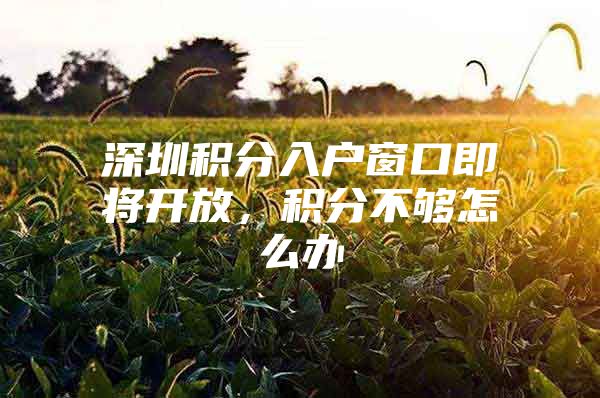 深圳积分入户窗口即将开放，积分不够怎么办