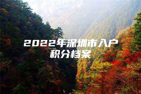 2022年深圳市入户积分档案